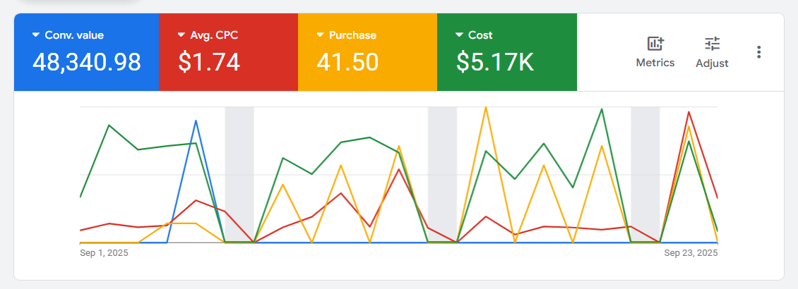 muhammad-tayyab-google-ads-optimization-result-Networking Ecommerce P 3